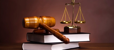 Abogados y procuradores