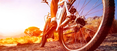 Bicicletas