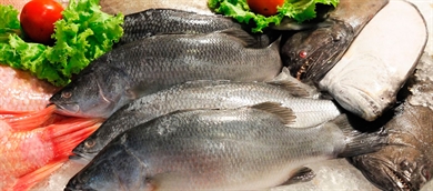 Pescaderías y congelados