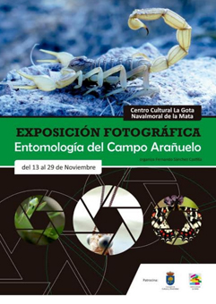 El Centro Cultural La Gota de Navalmoral, acogerá una exposición entomológica