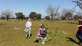 Alumnos del IES Augustóbriga plantan 300 árboles en la Dehesa Boyal gracias al programa Ecocentros 