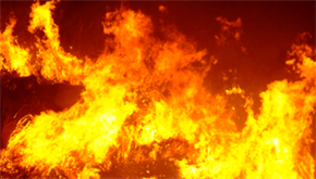 Incendio intencionado en fincas de Jaraíz de la Vera