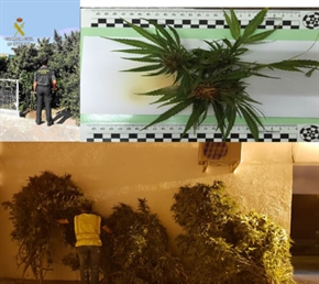 La Guardia Civil detiene en Talayuela a un individuo que portaba 400 gramos de marihuana